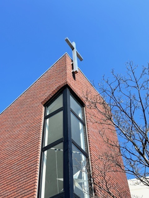 足立 真之さんの この一枚「良く晴れた日曜日です！」