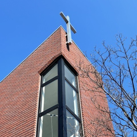 良く晴れた日曜日です！